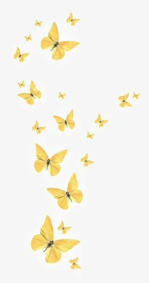 Two Energetic Yellow Butterflies Looking For A Fresh Start. Wallpaper
