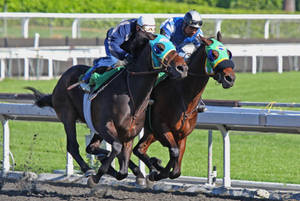 Two Horsemen In A Horse Racing Wallpaper