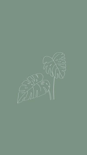 Two Large Cute Sage Green Leaves Wallpaper