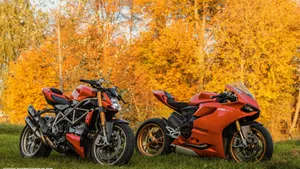 Two Orange Ducati Street Fighter Wallpaper