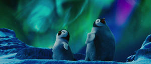 Two Penguins Standing In Front Of An Aurora Wallpaper