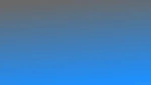 Two Shades Of Gray: Harmoniously Balanced Wallpaper