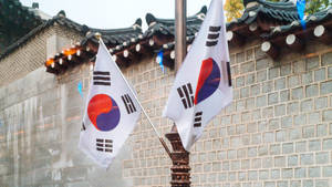 Two South Korean Flags Wallpaper