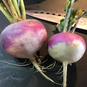 Two Turnips With Sharp Knife Wallpaper