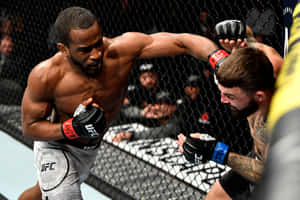 U F C Fighter Geoff Nealin Action Wallpaper