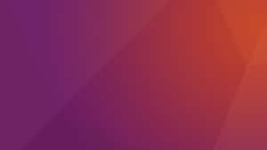 Ubuntu 4k Is The Latest Update From Canonical Wallpaper