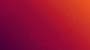 Ubuntu 4k Ultra High Definition Wallpaper Wallpaper