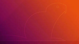 Ubuntu Raving Rabbit Hd Wallpaper