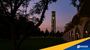 Ucr Bell Tower At Sundown Wallpaper