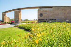 Ucsb's Iconic Campus Entrance Arches Wallpaper