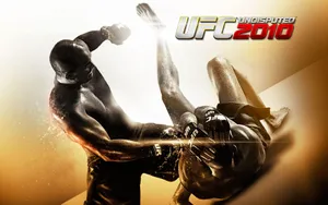 Ufc 2010 Action Poster 4k Wallpaper