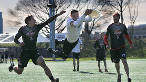 Ultimate Frisbee Sport Wallpaper