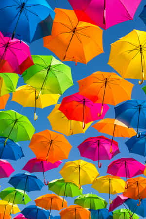 Unbelievably Colorful Rainbow Painted Wall Wallpaper