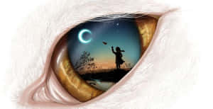 “uncover The Dreams Within Yourself