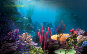 Underwater Colorful Corals Wallpaper