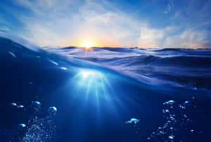 Underwater Ocean With Sun Rising Over The Water Wallpaper