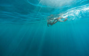 Underwater Photography Swimming Person Wallpaper