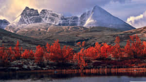 Unending Mountains And Clear Blue Skies Wallpaper