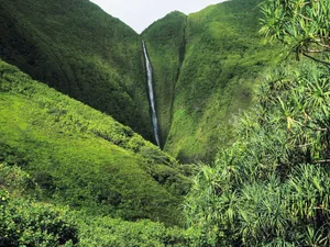 Uninterrupted Relaxation At Kahiwa Falls, Hawaii Wallpaper