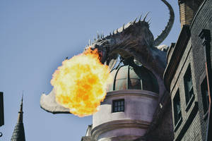 Universal Studios Dragon Wallpaper