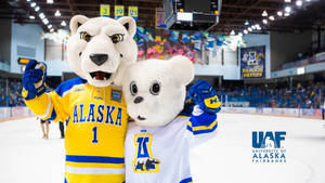 University Of Alaska Fairbanks Mascots Wallpaper