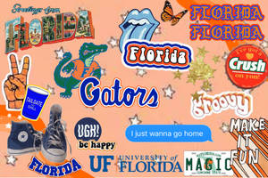 University Of Florida Gators Collage Wallpaper