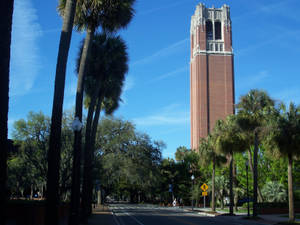 University Of Florida's Prominent Century Tower Wallpaper