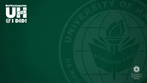 University Of Hawaii Dark Green Zoom Background Wallpaper