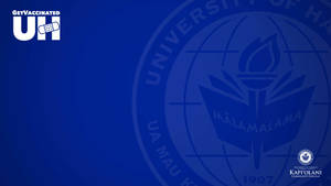 University Of Hawaii Kapiʻolani Blue Wallpaper