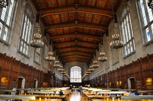 University Of Michigan-ann Arbor Beautiful Library Wallpaper