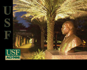 University Of South Florida Alumni Statue Wallpaper