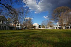 University Of Virginia Green Field Wallpaper