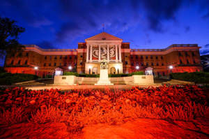 University Of Wisconsin-madison Hall Plants Wallpaper