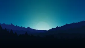 Unlock The Beauty Of The Night Forest. Wallpaper