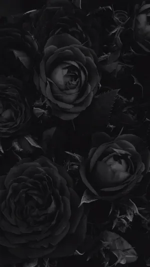Unlock The Dark Beauty Of Goth Aesthetic Black Wallpaper