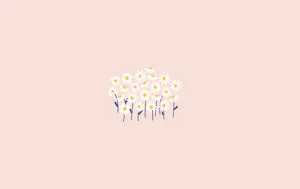 Unlock Your Creativity With Daisy Aesthetic Computer Wallpaper