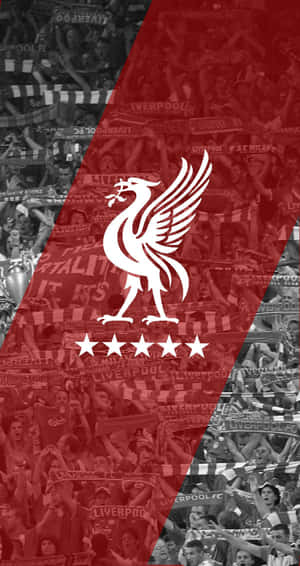 Unlock Your Potential With Liverpool's Iphone Wallpaper