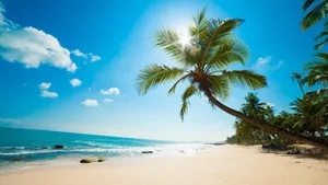 Unwind And Relax At A Caribbean Beach Wallpaper