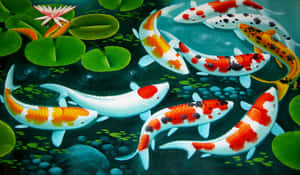 Upclose Look Of Beautiful Vibrant Colored Tropical Fish Wallpaper