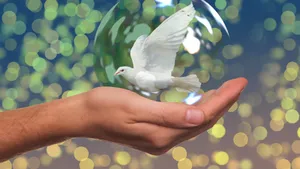 Upholding The Symbol Of World Peace Wallpaper