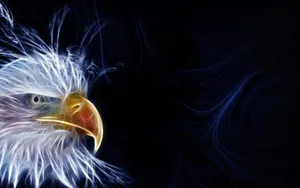 Us Eagle Neon Art Wallpaper
