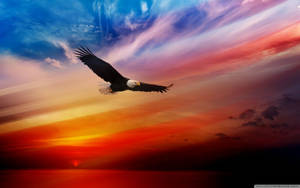 Usa Independence Day Symbol Wallpaper