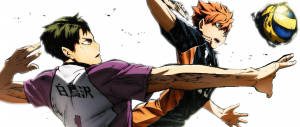 Ushijima And Hinata Haikyuu Aesthetic Wallpaper