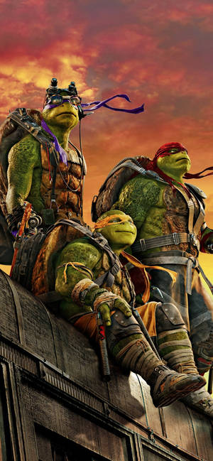 Valiant Ninja Turtle Standing On A Ledge Overlooking The City Wallpaper