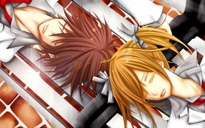 Vampire Knight Rima And Senri Wallpaper