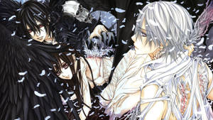 Vampire Knight White And Dark Angels Wallpaper