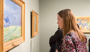 Van Gogh Museum Onlooker Wallpaper