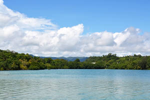 Vanuatu Ocean View Wallpaper