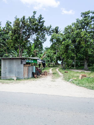 Vanuatu Shanty Home Wallpaper