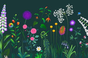 Various Colorful Plants With Flowers Vector Art Wallpaper